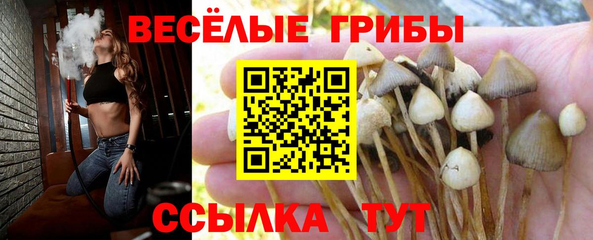 Строитель  наркотики  Вход с VPN  Галлюциногенные грибы прущие грибы 