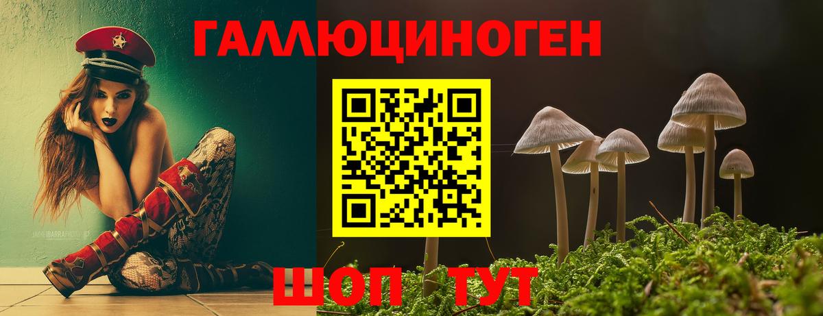 Галлюциногенные грибы MAGIC MUSHROOMS Строитель